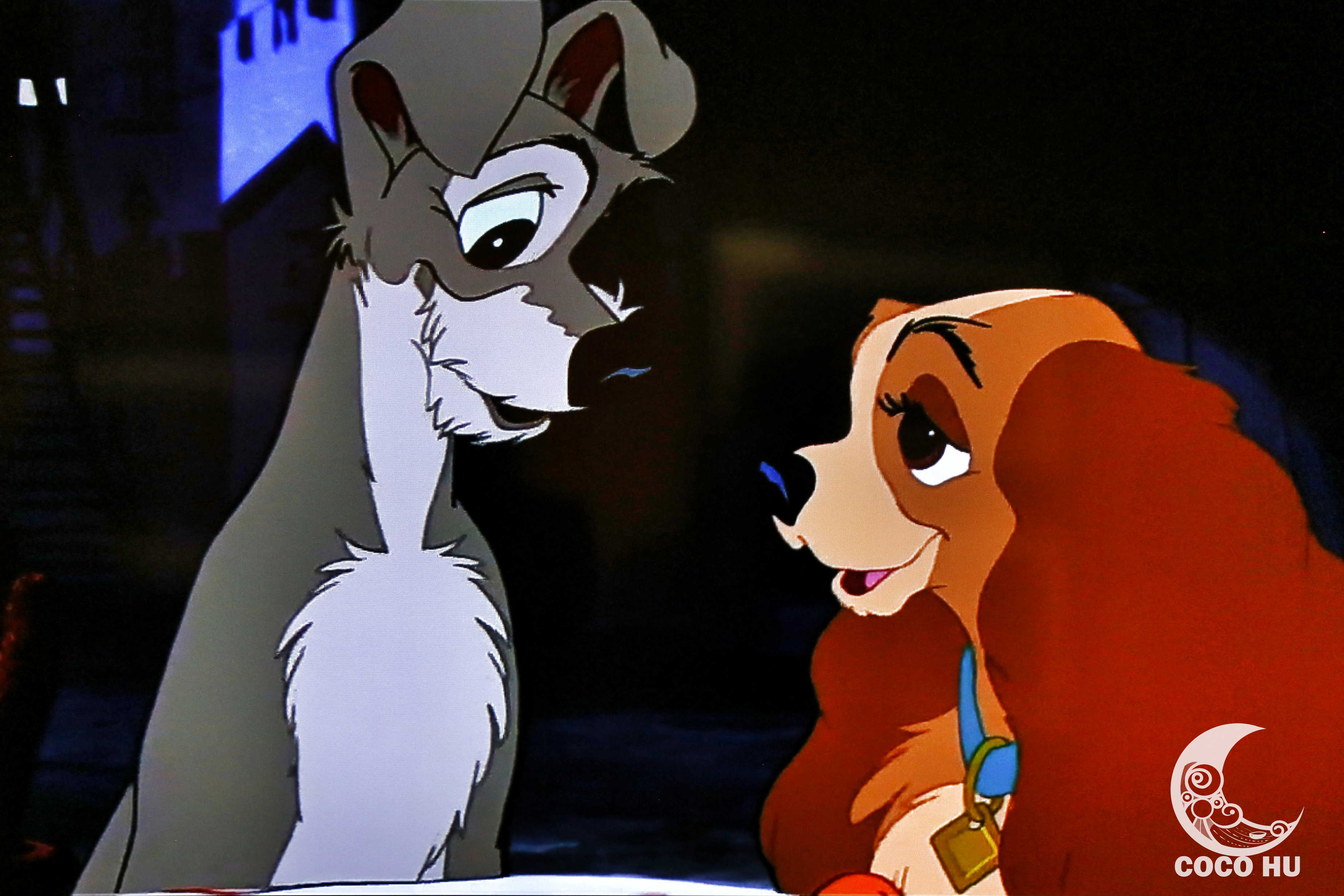 新加坡滨海金沙湾娱乐场所,新加坡滨海湾金沙酒店在哪里