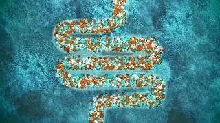 为什么有的人吃益生菌会便秘,为什么那么多人吃益生菌