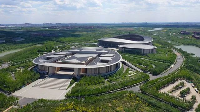 天津重点学校规划,津南区签约名校