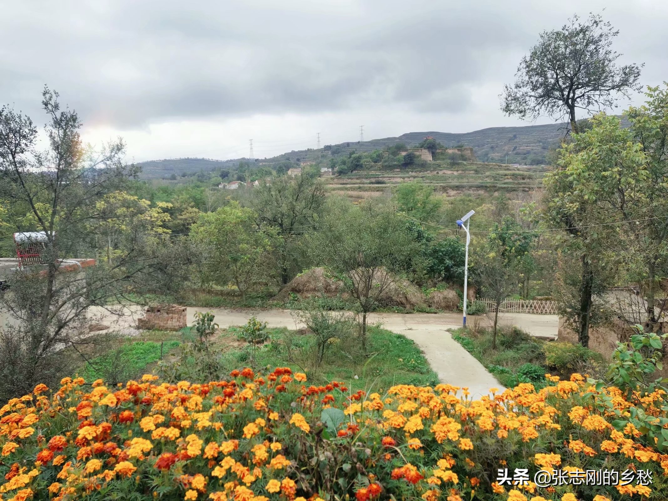 甘谷县金山镇一农民,从深圳一企业辞职之后,对生活的一些感悟