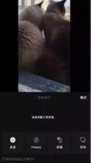 抖音短视频制作免费教程,有关制作抖音短视频的作品