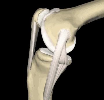 平时不经意的动作习惯让你的膝关节咔咔响和疼,生活中需这样保护