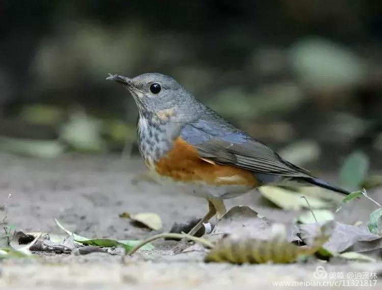 天坛最近发生什么事,北京天坛现在的状况