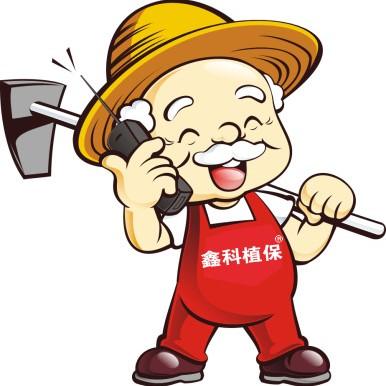 种植生姜姜瘟用什么药,生姜种植病虫防治时间表