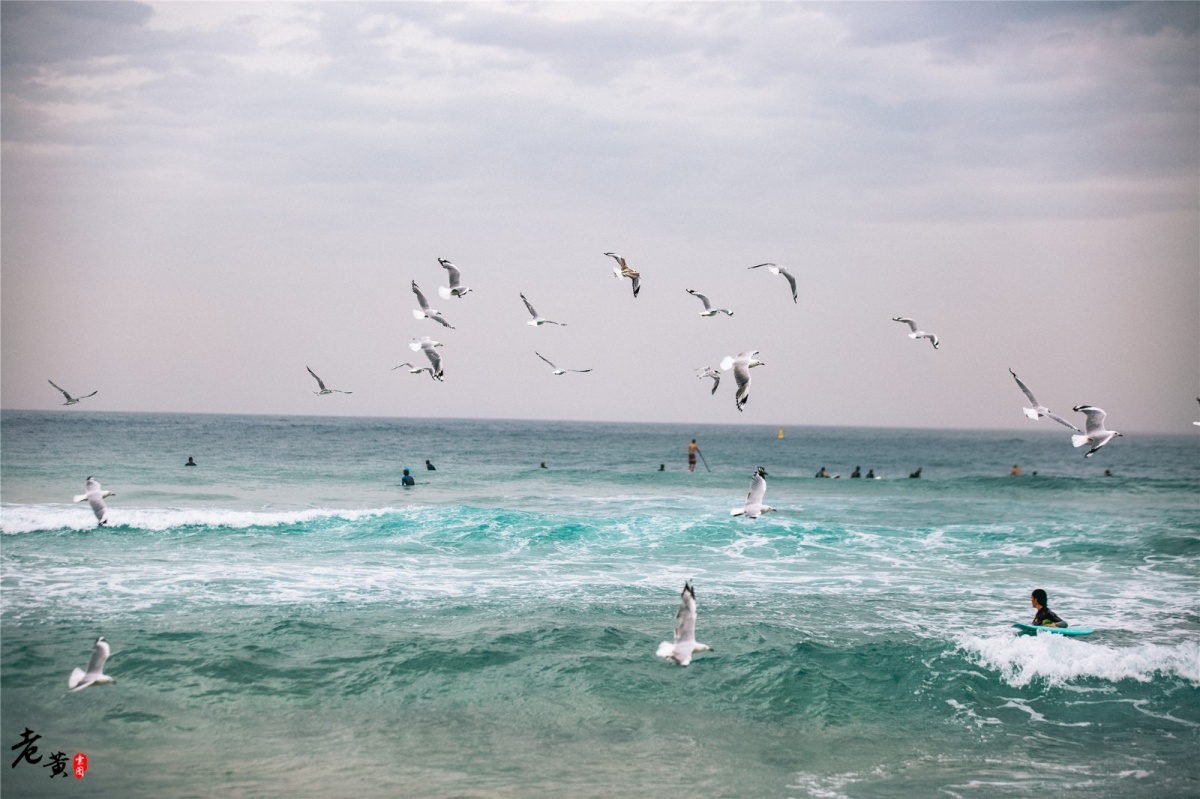 澳洲邦迪海滩美景,澳洲悉尼邦迪海滩游记