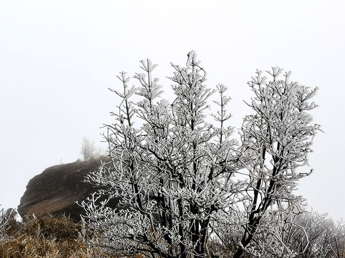 雨中的梵净山景色,烟雨梵净山