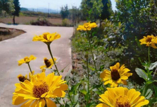 人活在世上的理由,活在世上的理由