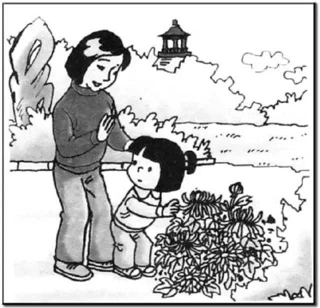 一二年级看图写话100课每日一练,一年级100篇看图写话完整版的图片