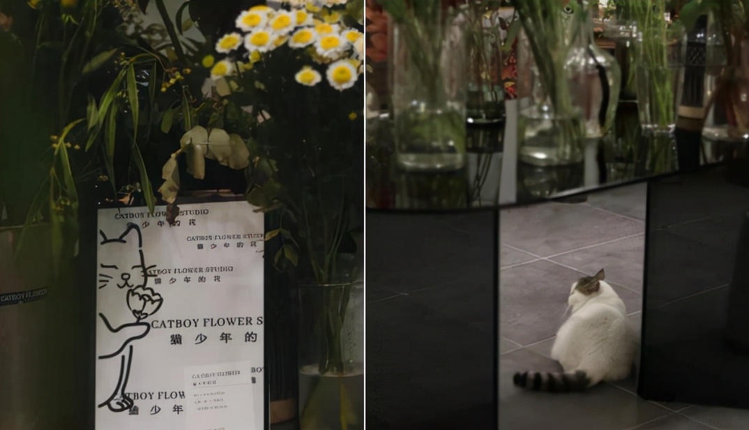 深圳网红花店推荐,人气最旺的网红花店