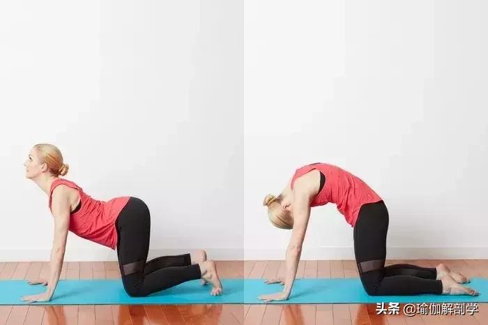 一套动作改善含胸驼背练出好身材,三步改善体态气质拒绝含胸驼背