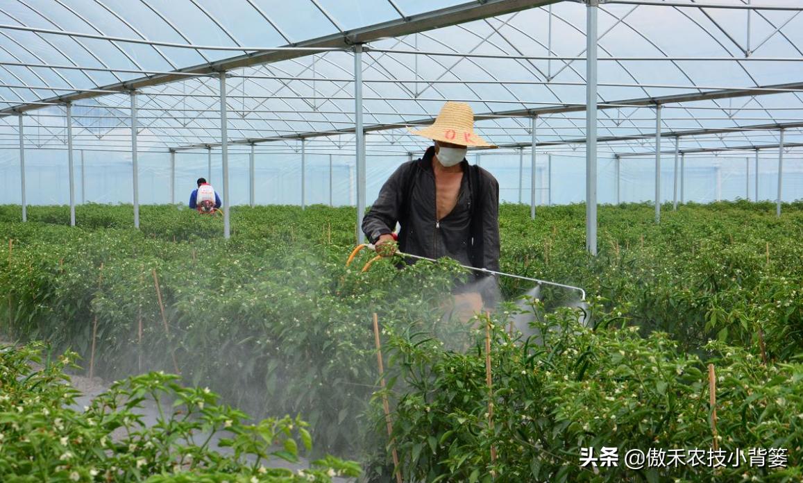 蔬菜怎样彻底清除农药残留,蔬菜有点农药残留怎么能洗掉