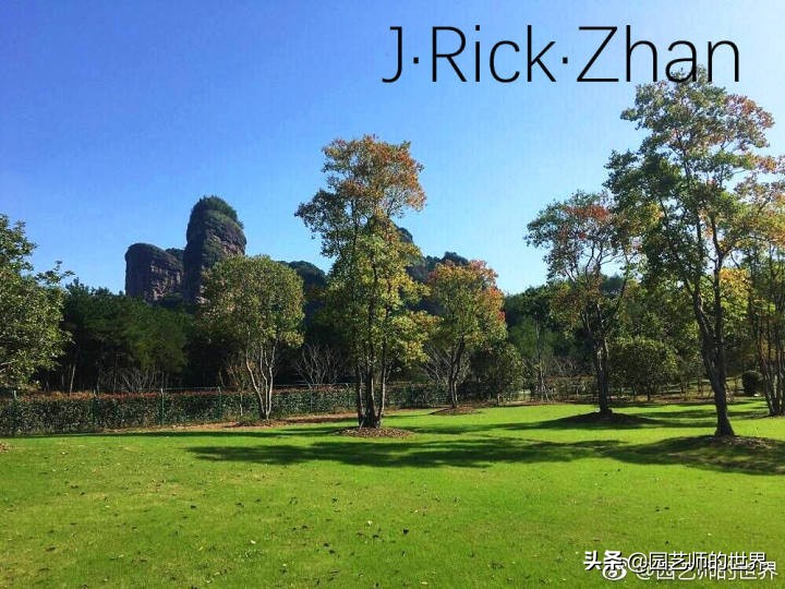 适合北方庭院种植的低矮草坪,家庭庭院怎样混搭种植草坪和蔬菜