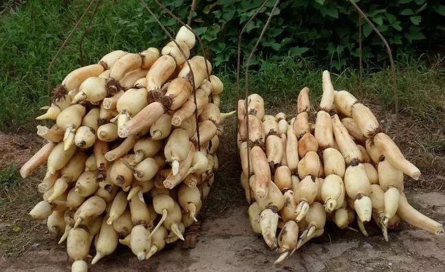 武汉东西湖蔡甸汉南,武汉知名农产品