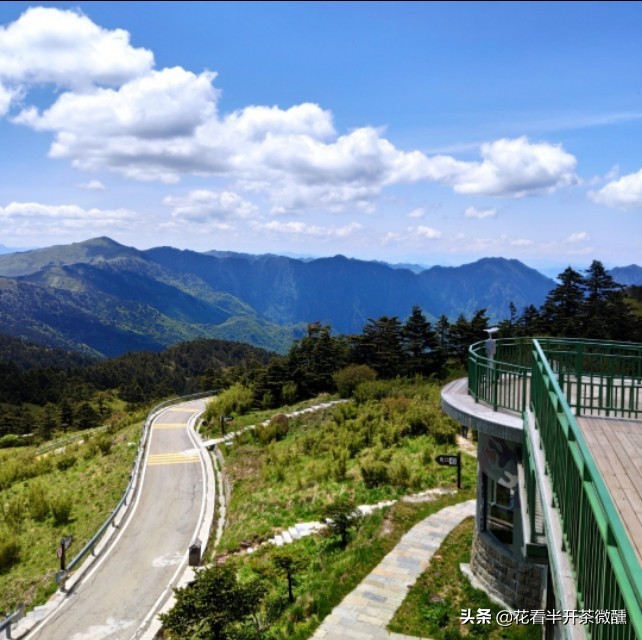 神农顶瞭望塔风景区,神农顶为什么叫华中第一哨
