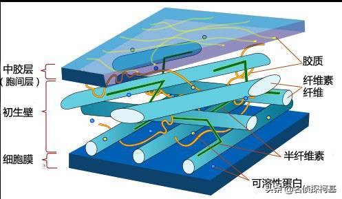 苹果变软了,苹果怎么可以快速变软