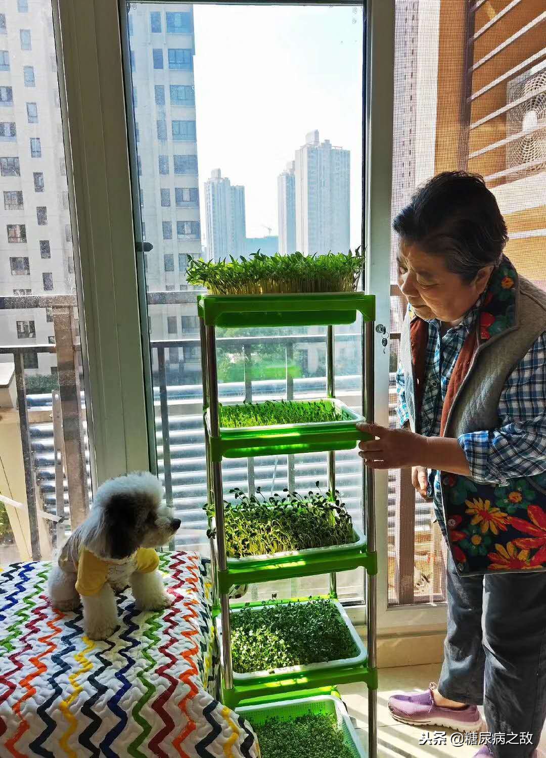 一型糖尿病必须一天打四针,患糖尿病31年每天吃20多种东西