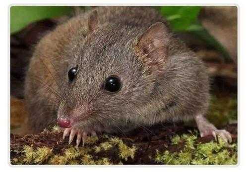 有哪些非常冷门的冷知识,那些非常冷门但实用的冷知识