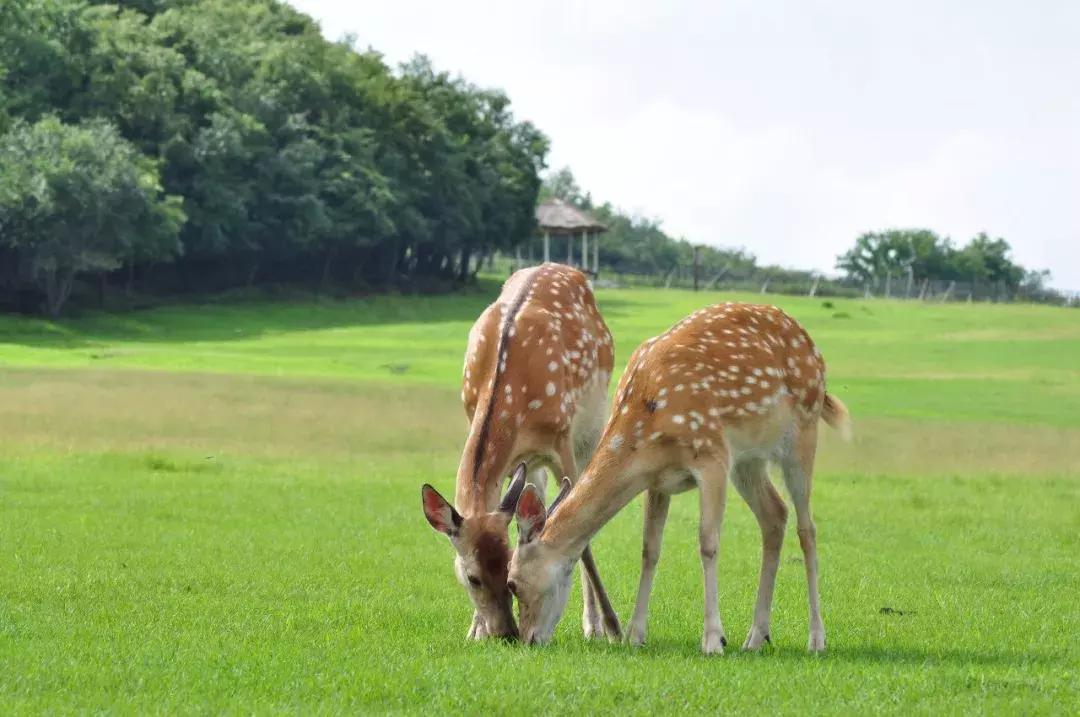 几个闺蜜自驾游的视频,一群闺蜜旅行视频