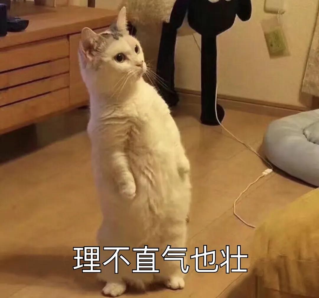仙人一跳，*男猛**尖叫