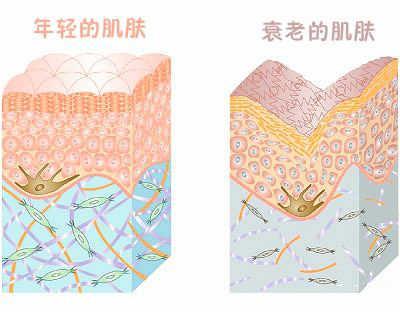 教你一招轻松改善脸部下垂,脸垮下垂怎么运动改善