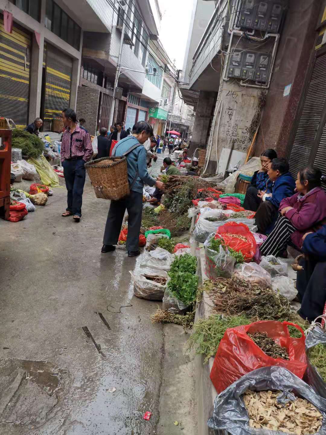 救死扶伤彰显草医神奇—---草医大夫梁民刲