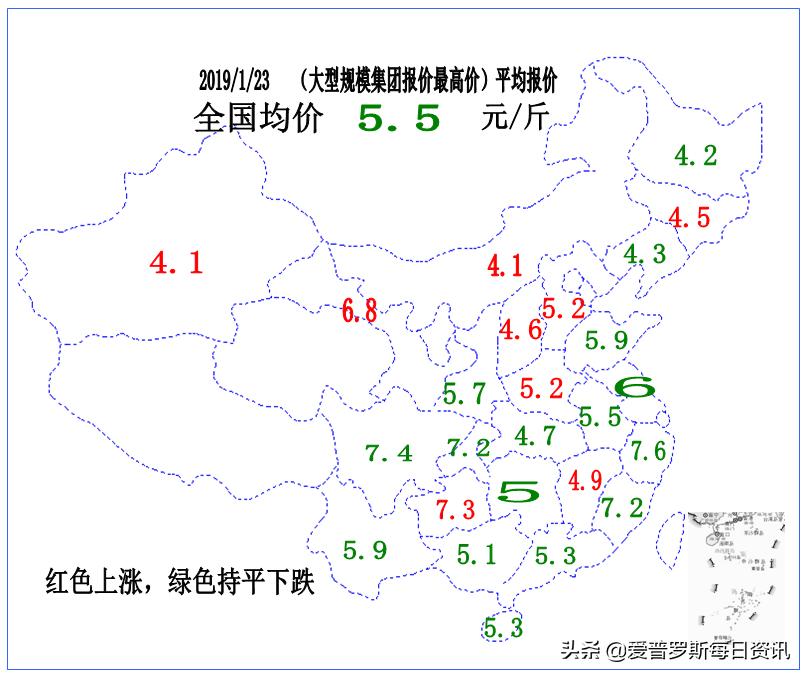 分析师谈猪价大涨 (郑老师分析猪价)