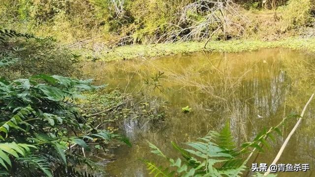 路亚炸线的原因分析和解决办法,玩路亚为什么炸线