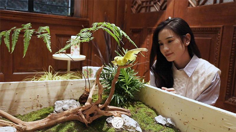 魔都新晋时尚地标,魔都新晋打卡地