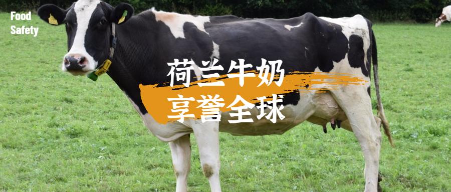 荷兰奶粉管理严吗,荷兰奶粉攻略