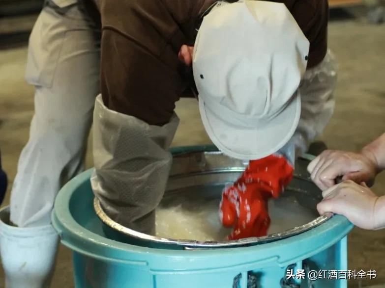 史上最全清酒,清酒解释