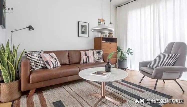 十款居家可养的植物,招财又好养的植物