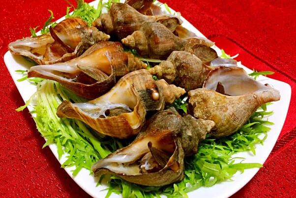 这个季节不能吃的海螺,海边人吃海螺的正确吃法