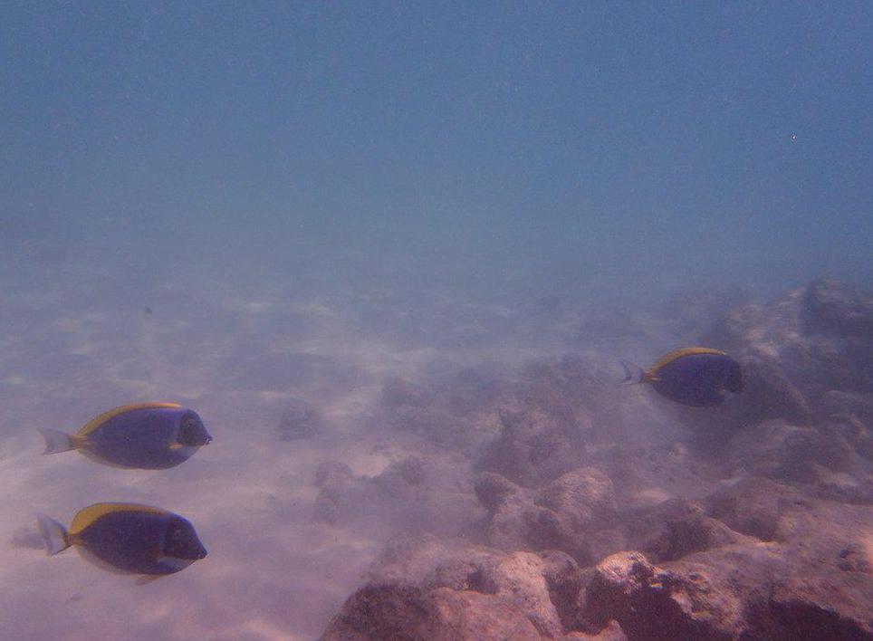 马尔代夫旅游选岛技巧,马尔代夫如何避坑