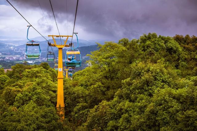 梅州开通新高铁路线,广州梅县高铁1.5小时通车