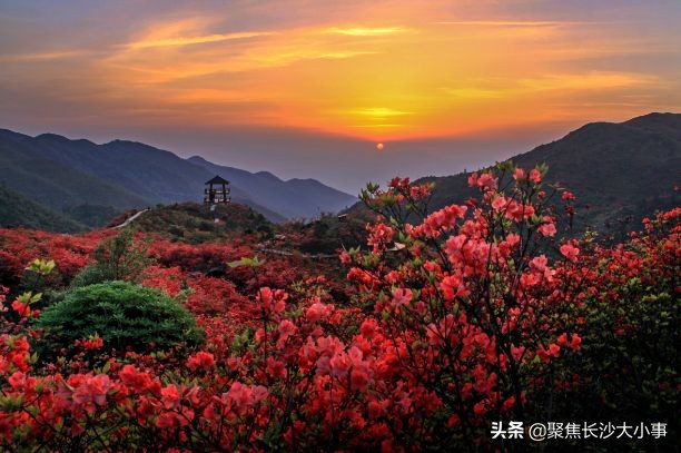 湖南浏阳市有多大,浏阳相当于长沙的一个区吗
