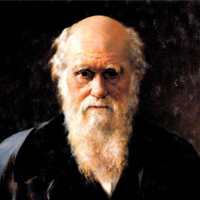 达尔文生物进化学说问世,达尔文生物进化学说其核心是