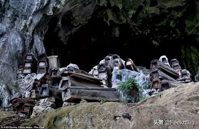 全球最大樱花基地原来就藏在贵州！万亩花海通到湖，机票低至2折