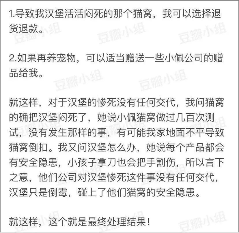 小佩闷死猫事件,小佩猫窝闷死猫