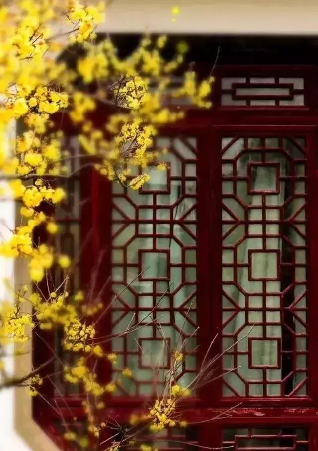 中国超大复古窗,33框门窗