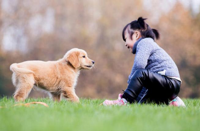 2岁宝宝发脾气满地打滚怎么办,2-3岁小孩撒泼打滚发脾气