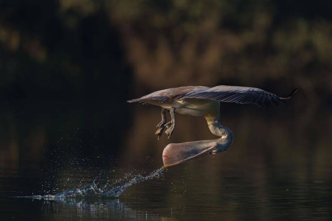 世界优秀获奖摄影作品,摄影大赛获奖作品欣赏