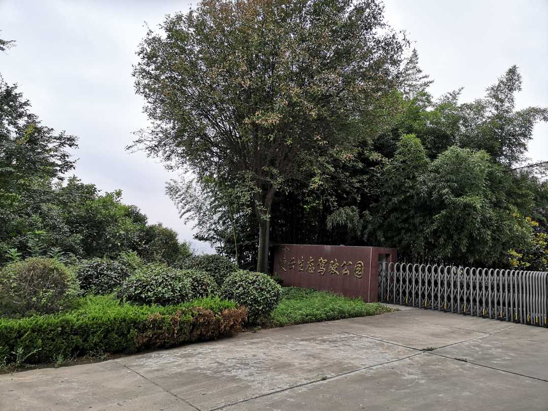 学驾照多少钱,学驾照全部教程