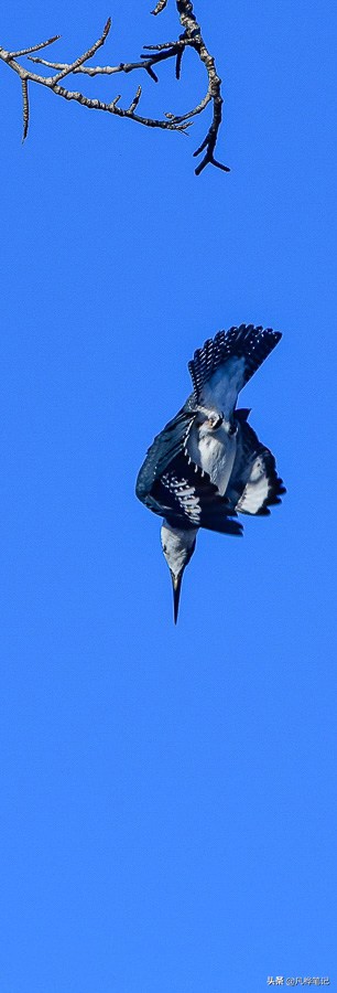 抓拍运动人物拍摄技巧,摄影技巧拍视频风景