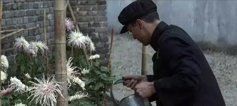 溥仪的一生经典片,溥仪故宫三部曲