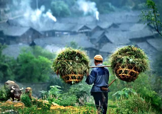 休闲农业模式怎么选好点,休闲农业的100种盈利模式