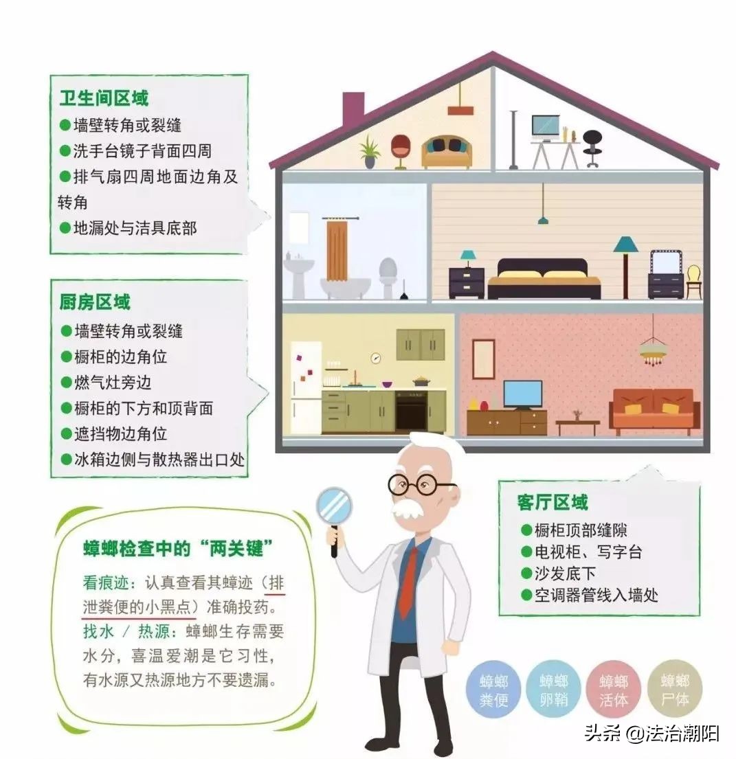 灭蟑螂最好的方法一招解决,蟑螂怎么灭杀最好方法