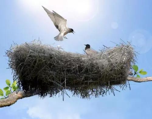 家庭课堂幼儿园,家庭教育云课堂亲子沟通