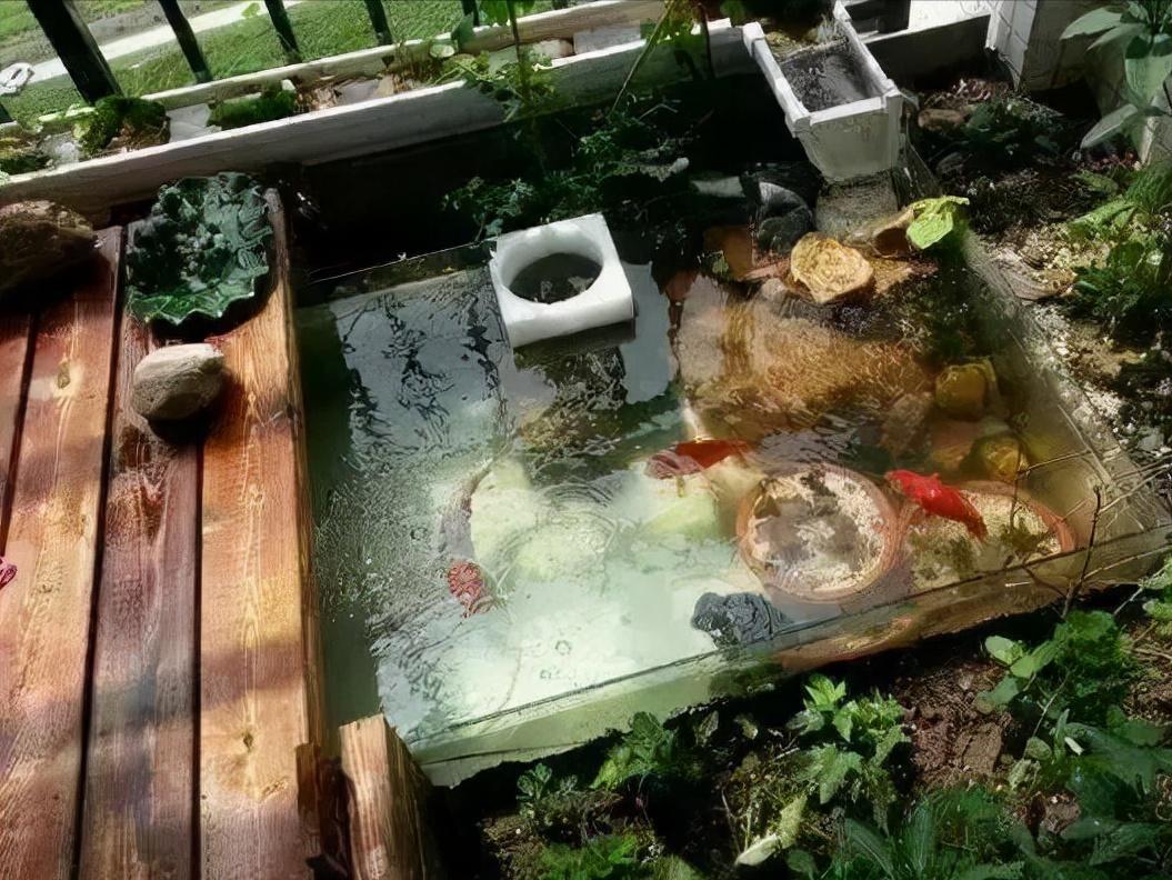 家庭小型可移动假山鱼池,庭院小型假山鱼池造价多少钱建好