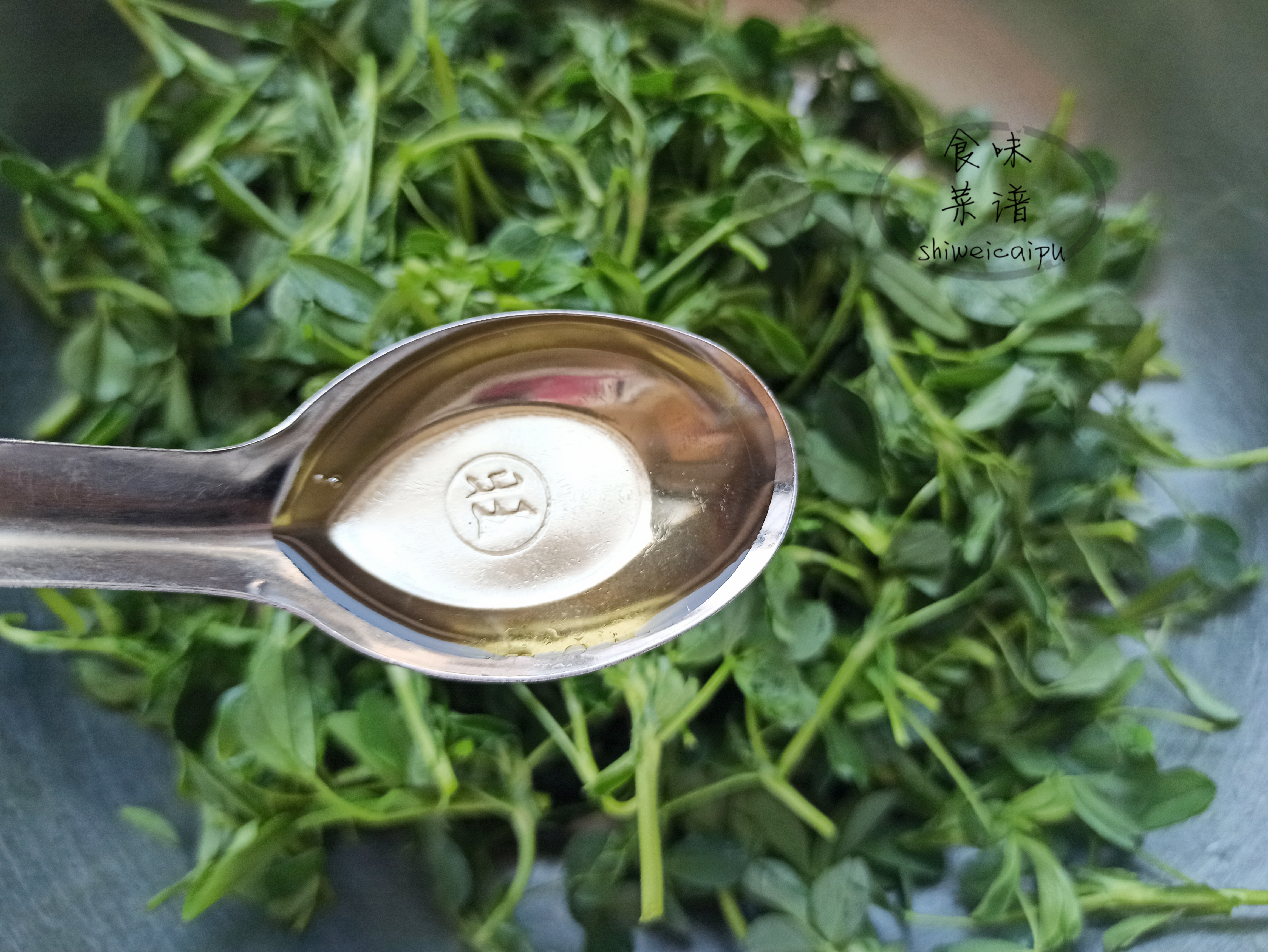 春天家常蒸菜100道不上火,春季有哪些蒸菜做法好吃