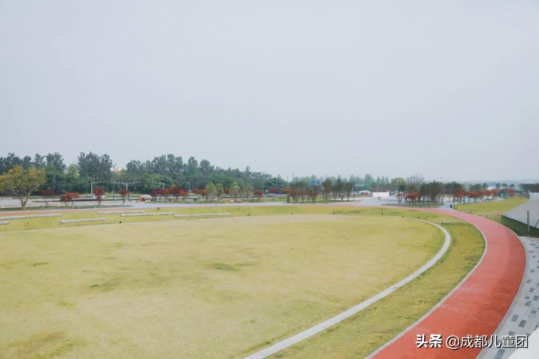 双流空港体育公园看飞机攻略,周末去空港花田